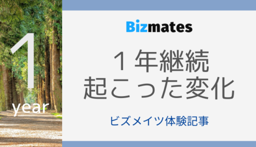 【レベルアップ！】Bizmates（ビズメイツ）を１年継続して起こった変化【体験談】